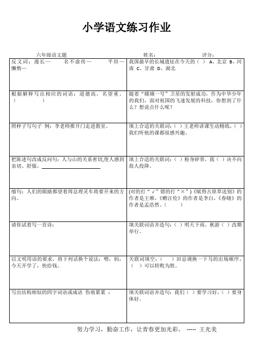 小学六年级语文拓展训练I (46)