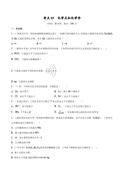 专题03 化学与化合价【巩固专练】-【中考高分导航】- 中考化学考点总复习(全国通用)(原卷版)