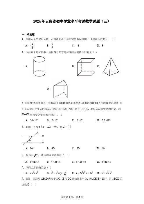 2024年云南省初中学业水平考试数学试题(三)