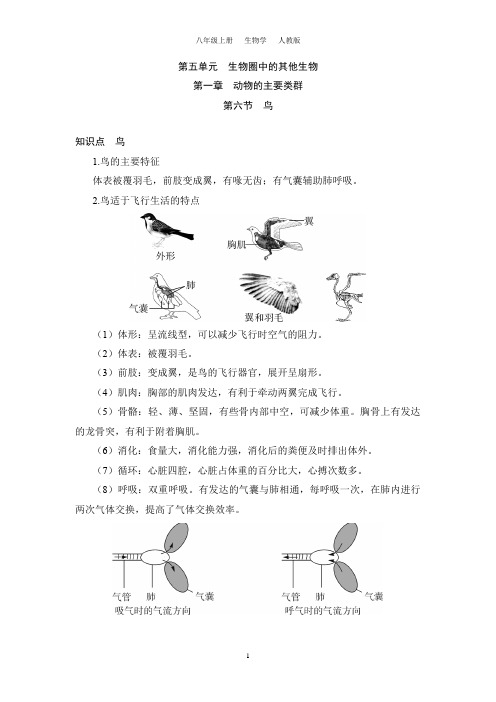 5.1.6 鸟(八上生物人教)