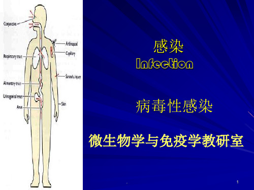 感染病毒性感染