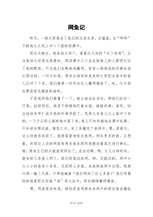 网鱼记_六年级作文