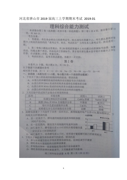 河北省唐山市2019届高三上学期期末考试A卷理科综合试题 扫描版含答案