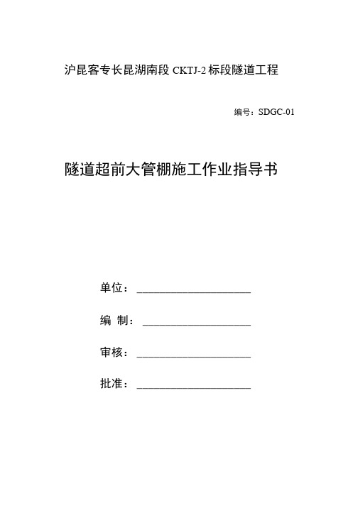 隧道超前大管棚作业指导书.docx