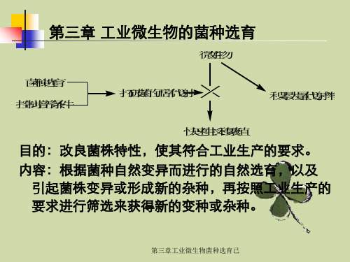 第三章工业微生物菌种选育已