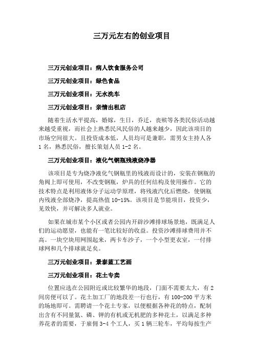 三万元左右的创业项目