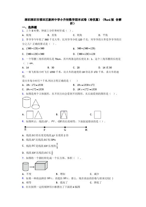 深圳深圳市福田区新洲中学小升初数学期末试卷(培优篇)(Word版 含解析)