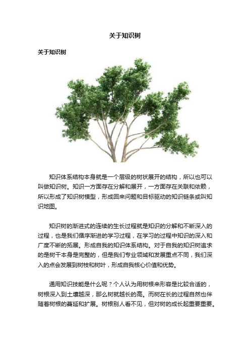 关于知识树