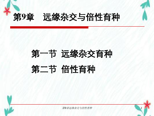 第9章远缘杂交与倍性育种