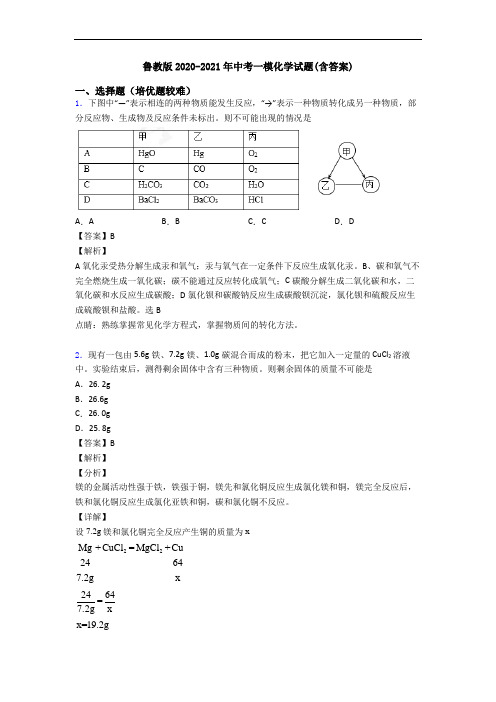 鲁教版2020-2021年中考一模化学试题(含答案)