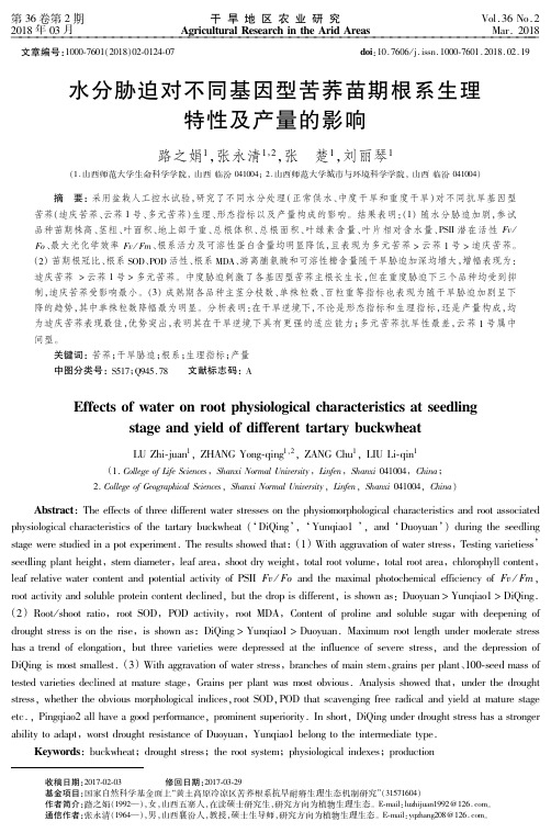 水分胁迫对不同基因型苦荞苗期根系生理特性及产量的影响