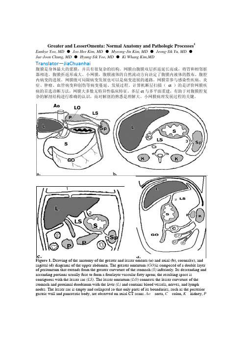 大小网膜解剖及病变