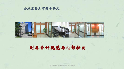 A股上市辅导-财务会计规范与内部控制课件