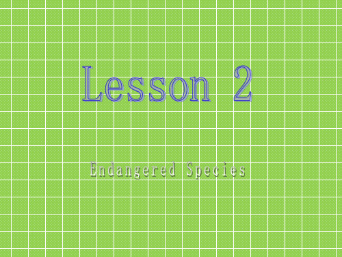 北师大版高中英语选修八Unit 22《Lesson 2 Endangered Species》课件 1