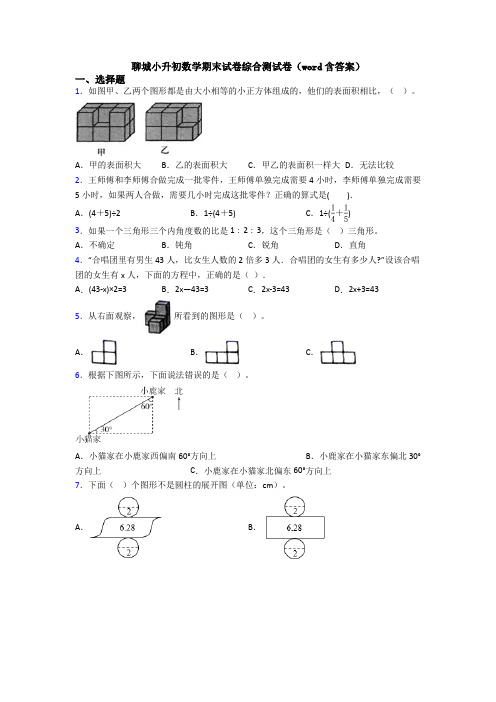 聊城小升初数学期末试卷综合测试卷（word含答案）