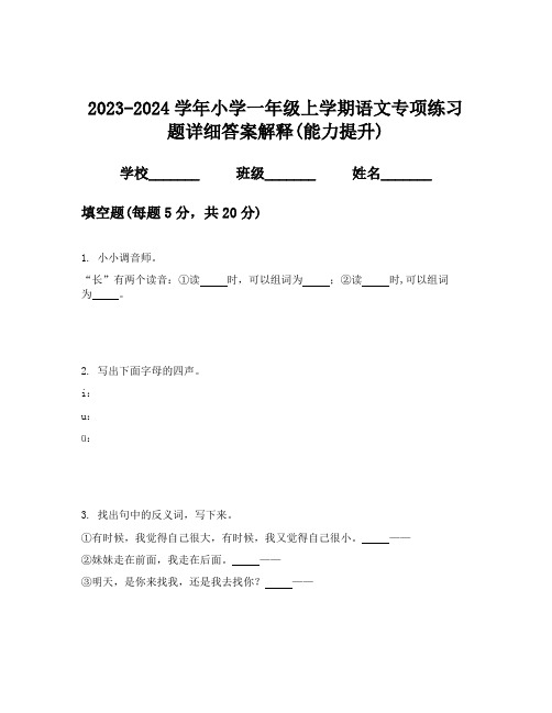 2023-2024学年小学一年级上学期语文专项练习题详细答案解释(能力提升)