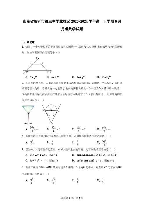 山东省临沂市第三中学北校区2023-2024学年高一下学期6月月考数学试题