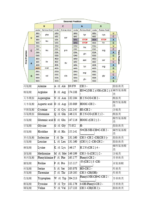 氨基酸密码子对照表