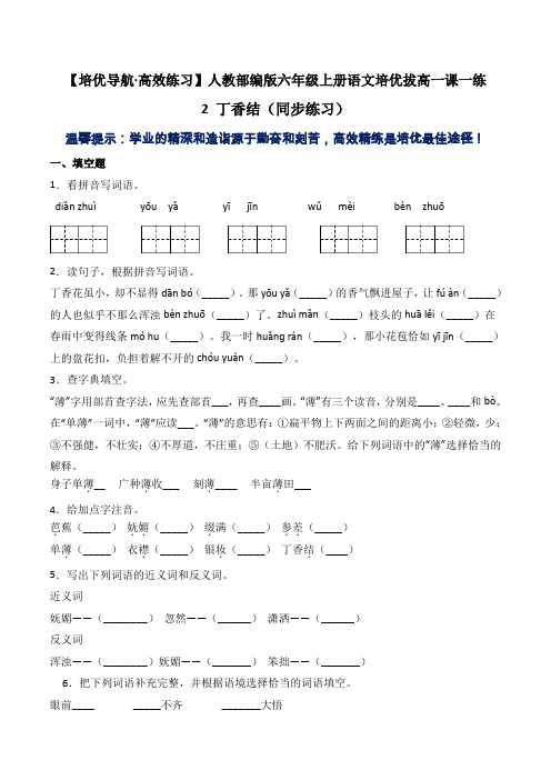 【培优导航高效练习】六年级上册语文培优拔高一课一练-2丁香结(同步练习)-人教部编版(含答案)