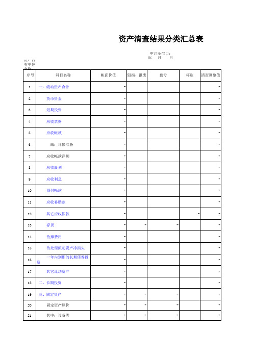 资产清查审计结果分类汇总表-模板