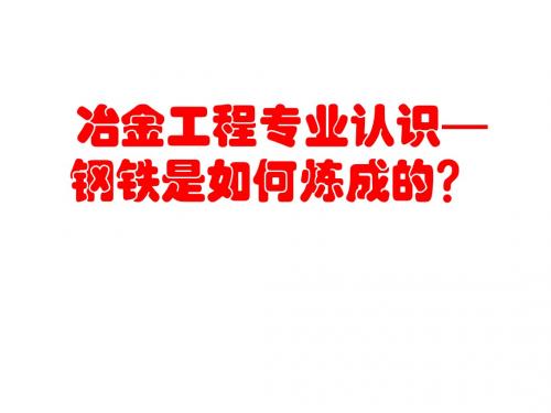 冶金工程专业认识—钢铁是如何炼成的-精品文档