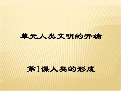 人教版历史课件：《人类的形成》PPT19