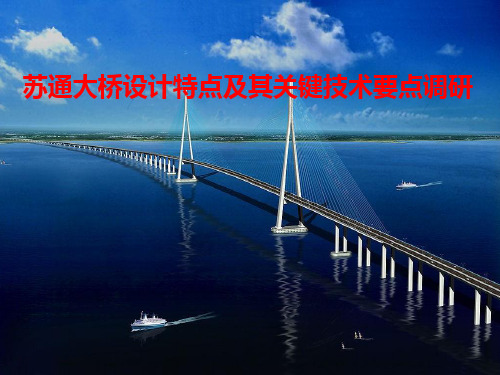 苏通长江大桥调研 PPT课件