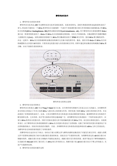 酵母单杂交技术