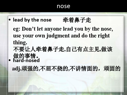 nose 英语中和鼻子“nose”有关的习惯用法