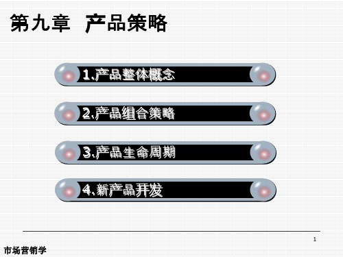 市场营销学—产品策略