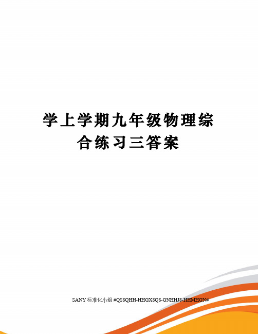 学上学期九年级物理综合练习三答案