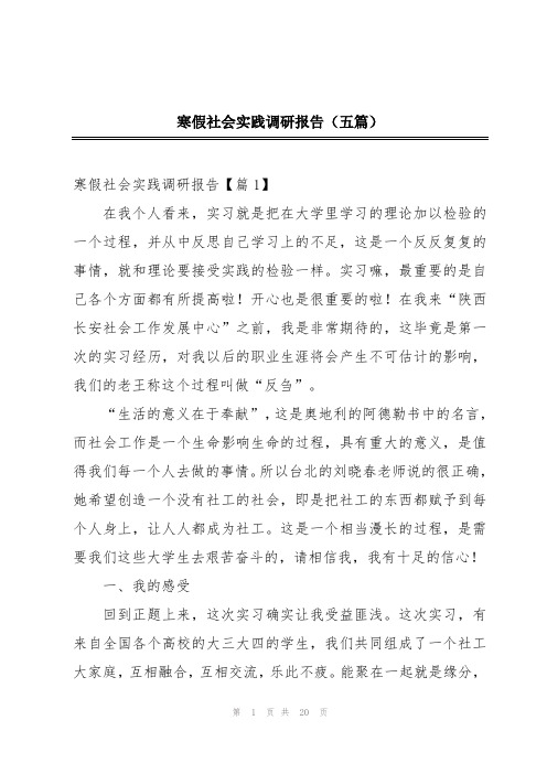 寒假社会实践调研报告(五篇)