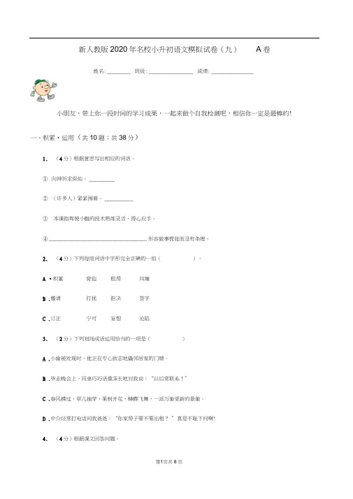 新人教版2020年名校小升初语文模拟试卷(九)A卷