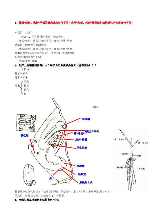 水稻栽培学考试重点