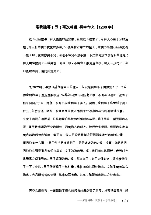 唯我独尊(五)再次相遇 初中作文【1200字】