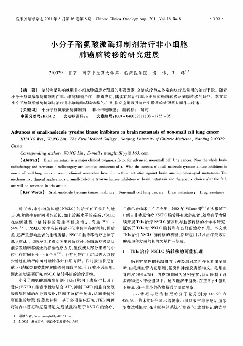 小分子酪氨酸激酶抑制剂治疗非小细胞肺癌脑转移的研究进展