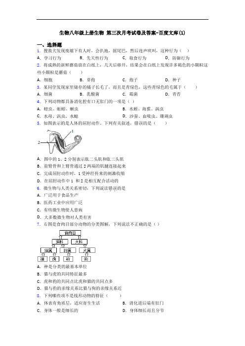 生物八年级上册生物 第三次月考试卷及答案-百度文库(1)