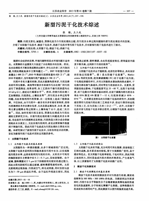 新型污泥干化技术综述