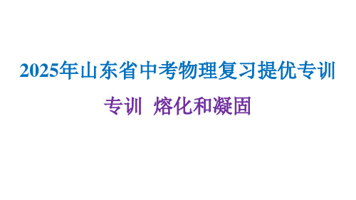 2025年山东省中考物理复习提优专训(专训+熔化和凝固)