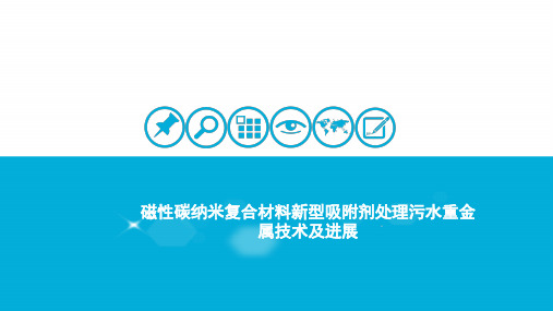 磁性碳纳米复合材料新型吸附剂处理污水重金属技术及进展资料