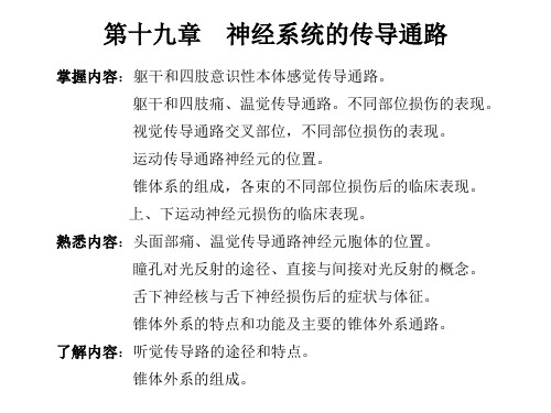 哈尔滨医科大学_系统解剖学_神经系统的传导通路