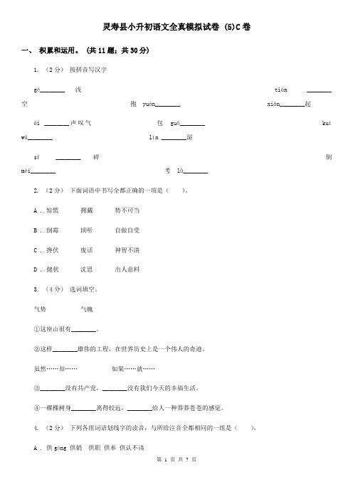 灵寿县小升初语文全真模拟试卷 (5)C卷