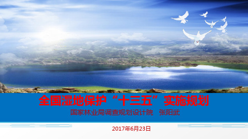 全国湿地保护十三五实施规划-张阳武