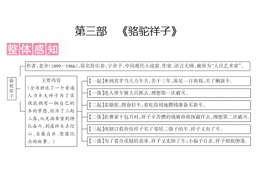 广东中考语文复习课件-第5部分 第3部《骆驼祥子》(共50张PPT)