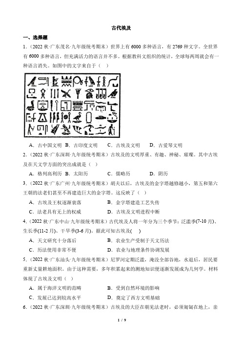 《古代埃及》【期末试卷汇编】