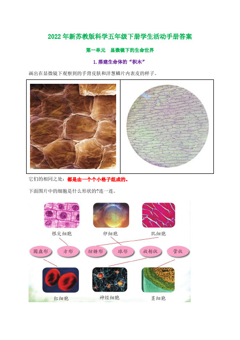 2022年新苏教版科学五年级下册学生活动手册答案(超全版)