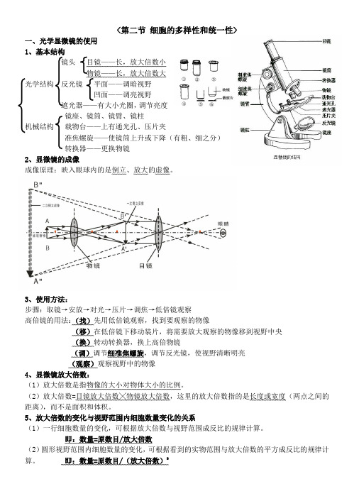 细胞的多样性与统一性 知识点总结