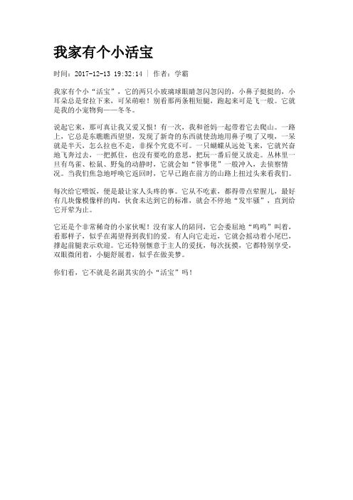 我家有个小活宝