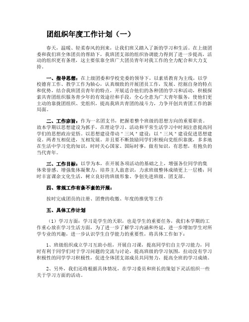 团组织年度工作计划