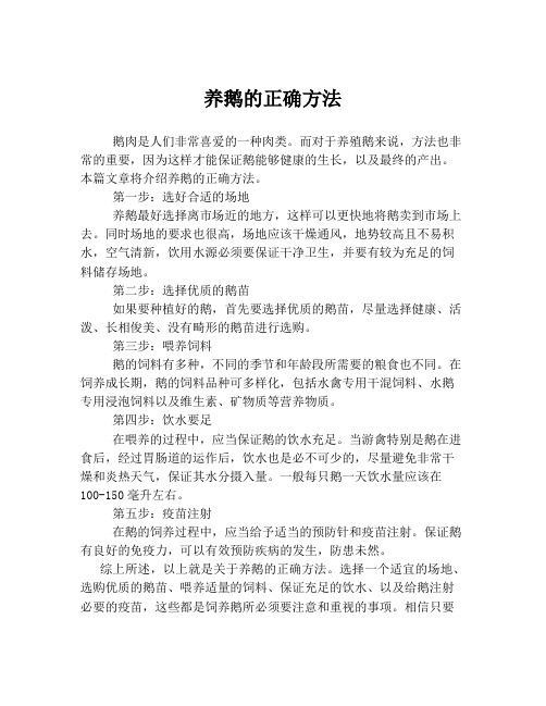 养鹅的正确方法